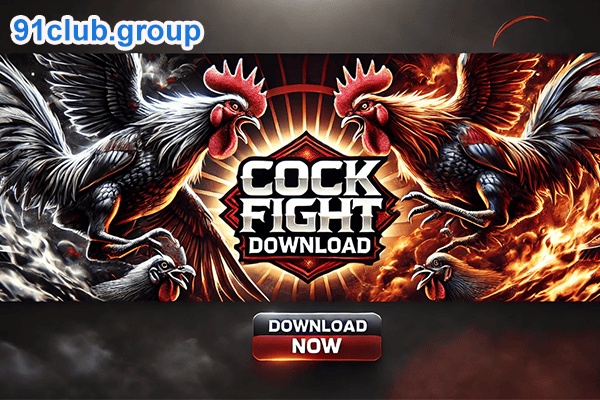 Cock Fight Download