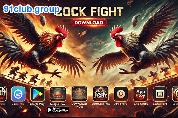 Download Cock Fight Apps