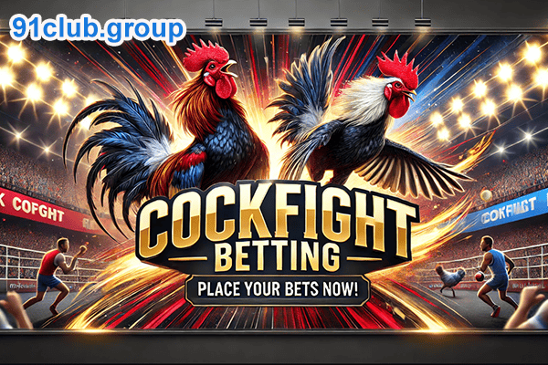 cock fight betting