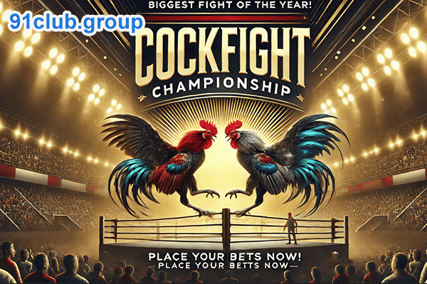 cock fight